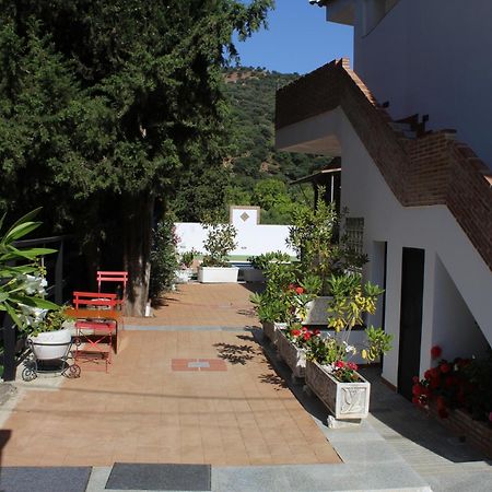 Apartamento Guadiaro 3 Ainhoa Benaoján Exterior foto